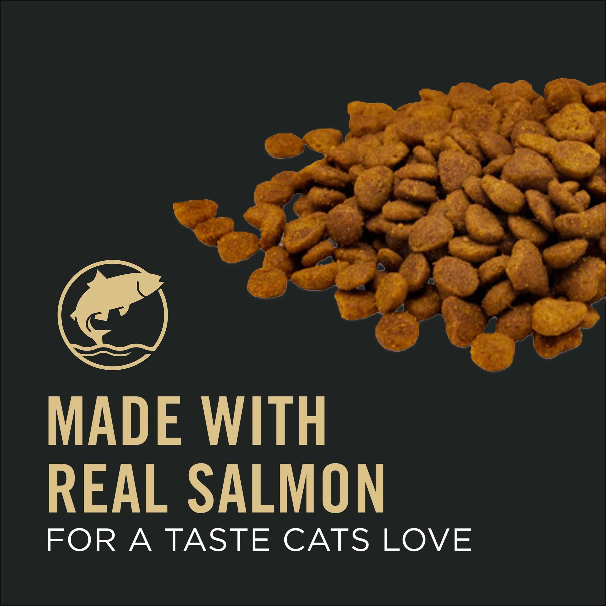 Vital Systems Senior Dry Cat Food Salmon 5Lb